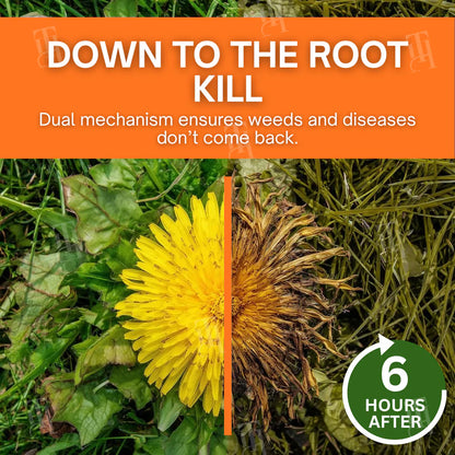 2 in 1 Max Power Herbicide 🔥BUY 1 GET 1 FREE🔥