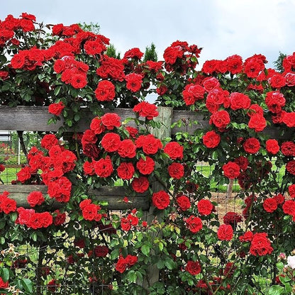 8969