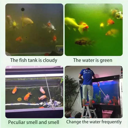 🐟 Aquarium Purifying Tablets 🧪