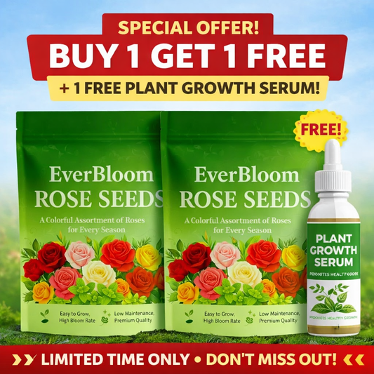 EverBloom Rose Seeds