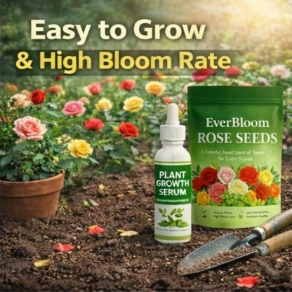 EverBloom Rose Seeds