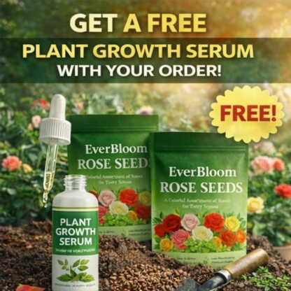 EverBloom Rose Seeds