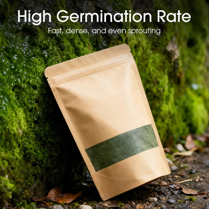 🔥Premium-Grade Moss Spore Powder🔥Free Plant Growth Supplement😍