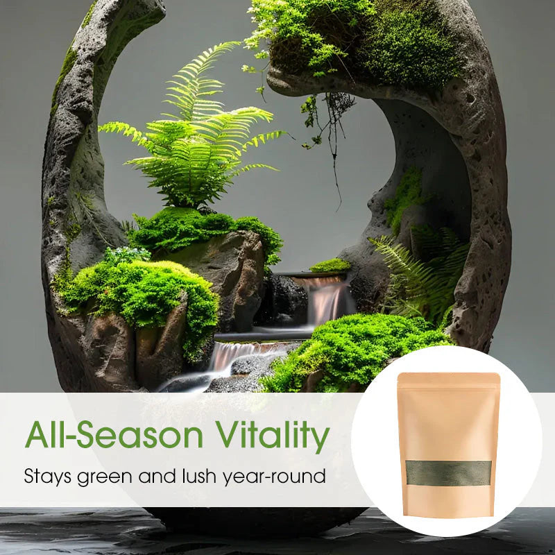 🔥Premium-Grade Moss Spore Powder🔥Free Plant Growth Supplement😍