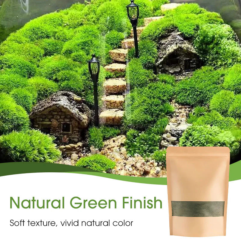 🔥Premium-Grade Moss Spore Powder🔥Free Plant Growth Supplement😍