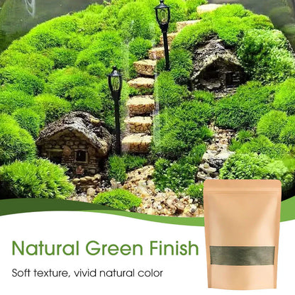 🔥Premium-Grade Moss Spore Powder🔥Free Plant Growth Supplement😍