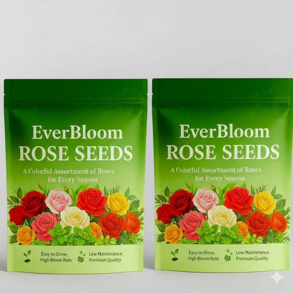 EverBloom Rose Seeds