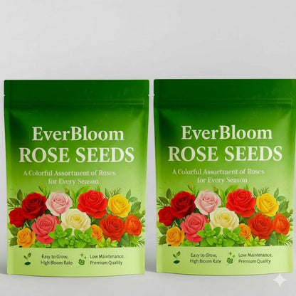 EverBloom Rose Seeds
